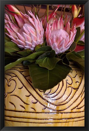 Framed Queen Protea and Heliconia, Umhlanga Rocks, Durban, Kwazulu Natal, South Africa Print