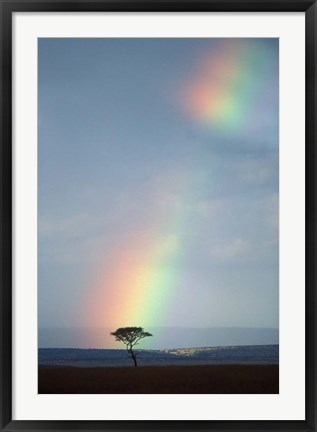 Framed Rainbow Forms Amid Rain Clouds, Masai Mara Game Reserve, Kenya Print