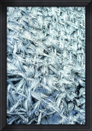 Framed Pattern of Winter Frost on Glass Print