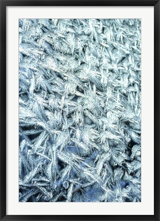 Framed Pattern of Winter Frost on Glass Print