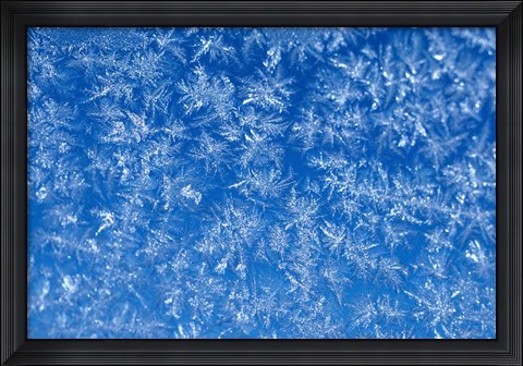 Framed Pattern of Winter Frost on Glass Print