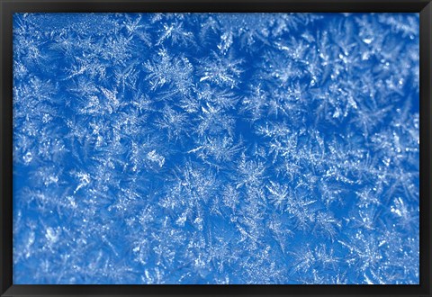 Framed Pattern of Winter Frost on Glass Print