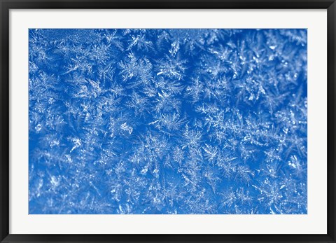 Framed Pattern of Winter Frost on Glass Print