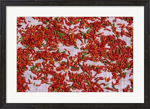 Framed Red Chili Drying in the Midday Sun, Madagascar Print