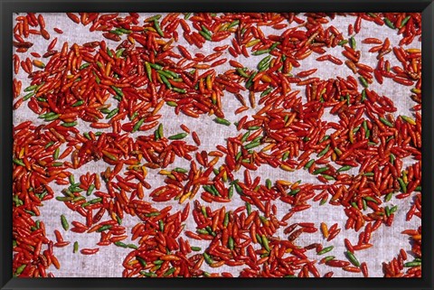 Framed Red Chili Drying in the Midday Sun, Madagascar Print