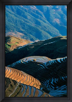 Framed Mountainside Rice Terraces, China Print