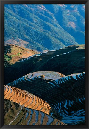 Framed Mountainside Rice Terraces, China Print