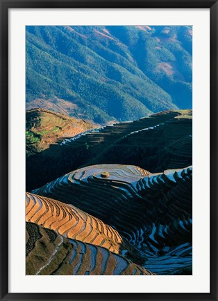 Framed Mountainside Rice Terraces, China Print