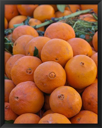 Framed Oranges for sale in Fes market Morocco Print