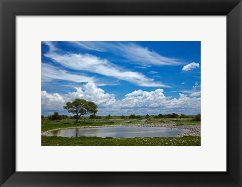 Framed Okaukuejo waterhole, Etosha National Park, Namibia Print