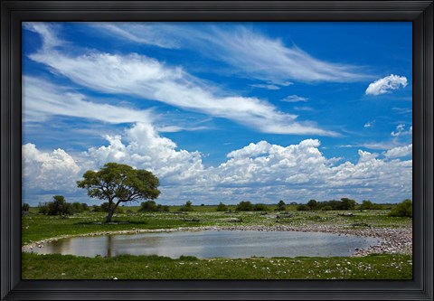 Framed Okaukuejo waterhole, Etosha National Park, Namibia Print