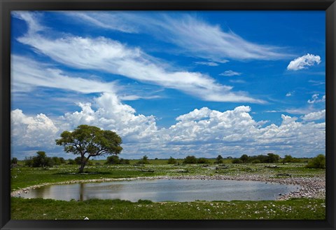 Framed Okaukuejo waterhole, Etosha National Park, Namibia Print