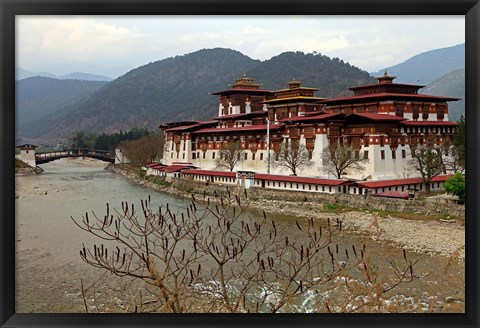 Framed Punakha Dzong, Punakha, Bhutan Print