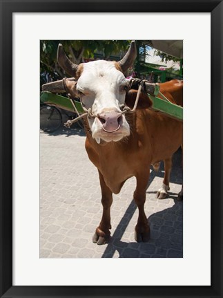 Framed Seychelles, La Digue, La Passe Harbor, ox-cart Print
