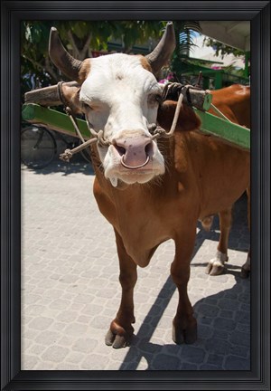 Framed Seychelles, La Digue, La Passe Harbor, ox-cart Print