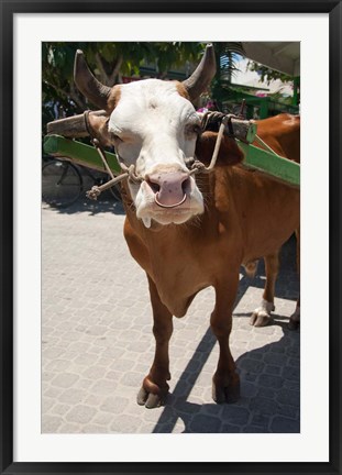 Framed Seychelles, La Digue, La Passe Harbor, ox-cart Print