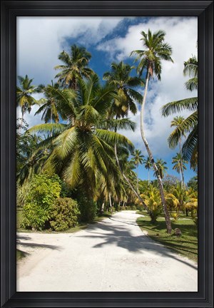 Framed Seychelles, La Digue, Palm lined country path Print