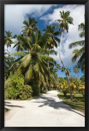 Framed Seychelles, La Digue, Palm lined country path Print