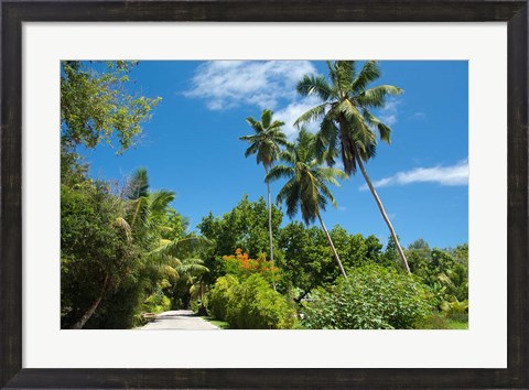 Framed Seychelles, La Digue. Remote island path Print