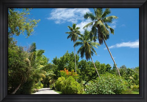 Framed Seychelles, La Digue. Remote island path Print
