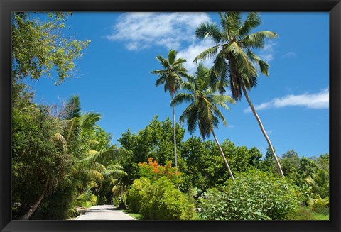 Framed Seychelles, La Digue. Remote island path Print