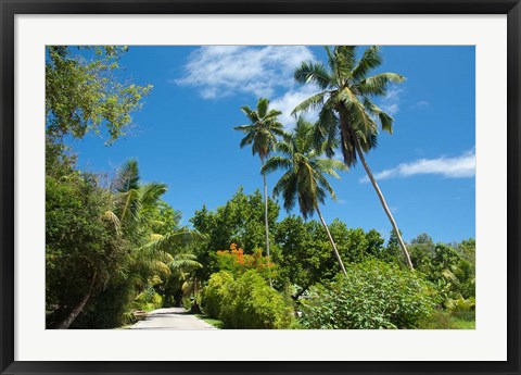 Framed Seychelles, La Digue. Remote island path Print