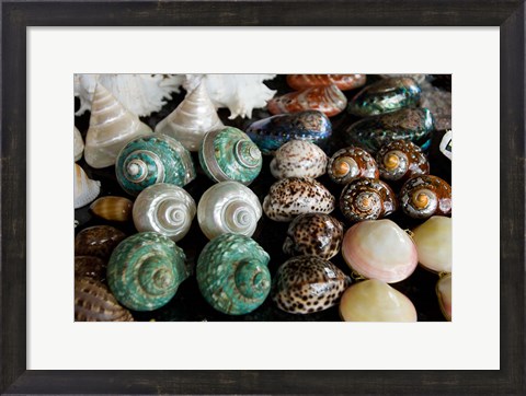 Framed Shells for sale in market, Mahe Island, Seychelles Print