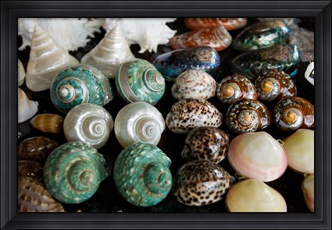 Framed Shells for sale in market, Mahe Island, Seychelles Print