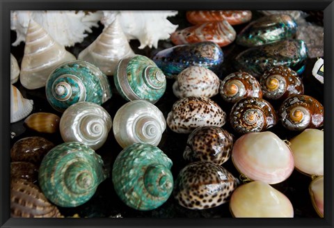 Framed Shells for sale in market, Mahe Island, Seychelles Print