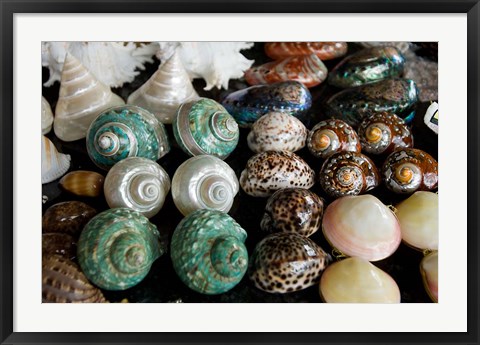 Framed Shells for sale in market, Mahe Island, Seychelles Print