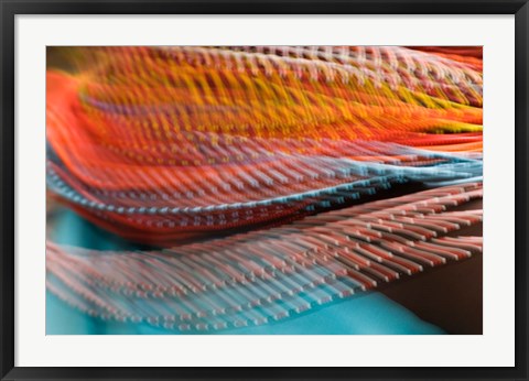 Framed Samburu Dancer&#39;s Colorful Necklace, Samburu National Reserve, Kenya Print