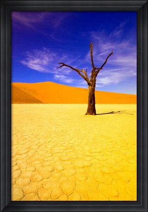 Framed Skeleton Trees in Dead Vlei, Namibia Print