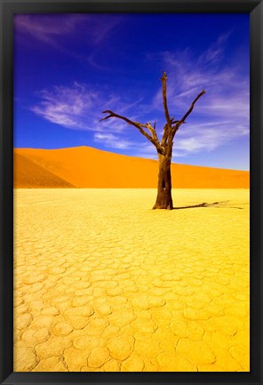 Framed Skeleton Trees in Dead Vlei, Namibia Print