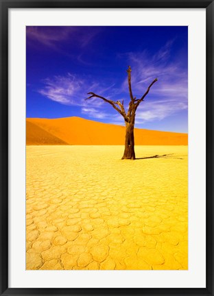 Framed Skeleton Trees in Dead Vlei, Namibia Print