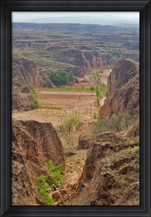 Framed Shepard, Yellow Valley cliff, Taigu, Shanxi, China Print
