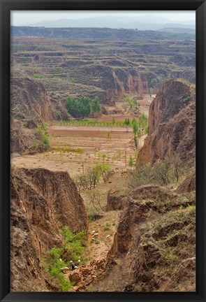 Framed Shepard, Yellow Valley cliff, Taigu, Shanxi, China Print