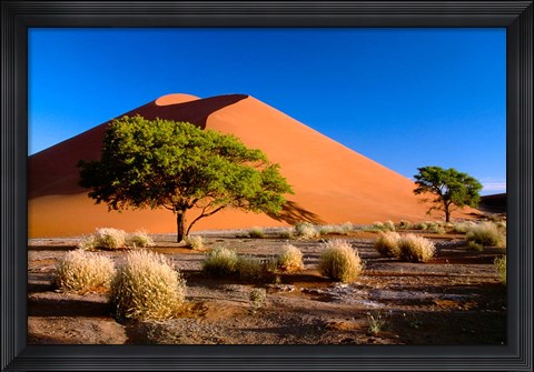 Framed Trees with Sossosvlei Dunes, Namib-Naukluff Park, Namibia Print