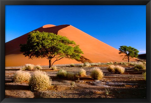 Framed Trees with Sossosvlei Dunes, Namib-Naukluff Park, Namibia Print