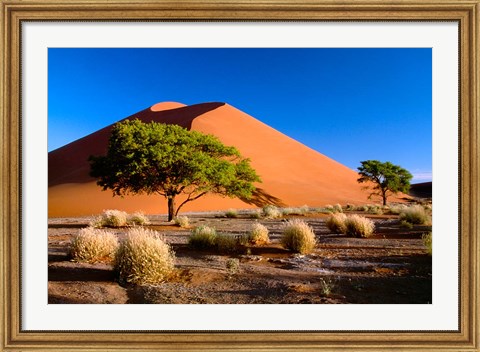 Framed Trees with Sossosvlei Dunes, Namib-Naukluff Park, Namibia Print