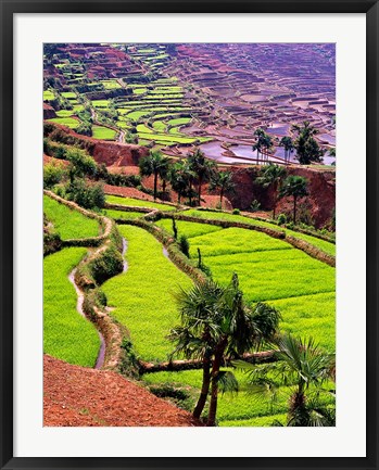 Framed Rice Terraces, Jiayin Village, Honghe, Yunnan, China Print