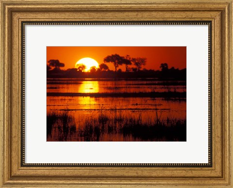 Framed Setting Sun over Lush Banks, Chobe National Park, Botswana Print