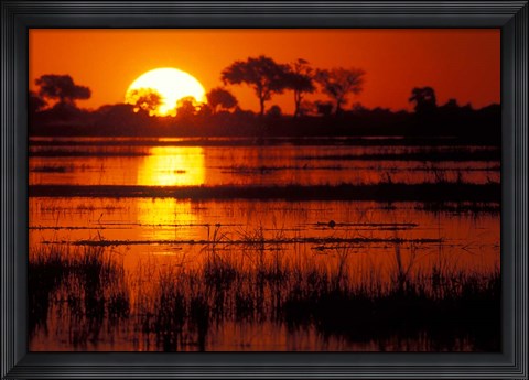 Framed Setting Sun over Lush Banks, Chobe National Park, Botswana Print
