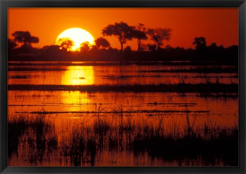 Framed Setting Sun over Lush Banks, Chobe National Park, Botswana Print
