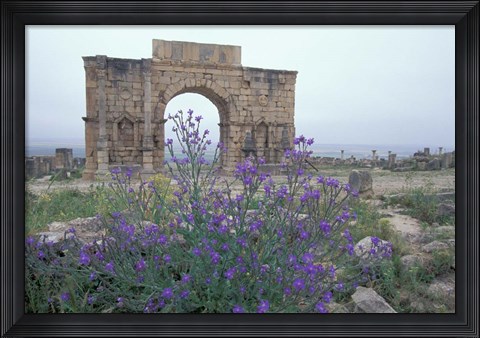 Framed Ruins of Triumphal Arch in Ancient Roman city, Morocco Print