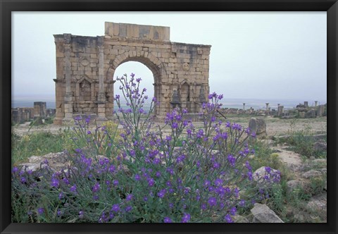 Framed Ruins of Triumphal Arch in Ancient Roman city, Morocco Print