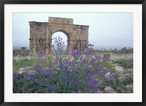 Framed Ruins of Triumphal Arch in Ancient Roman city, Morocco Print