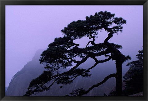 Framed Seeing Off Pine Tree on Mt Huangshan (Yellow Mountain), China Print