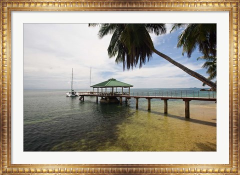 Framed Seychelles, Anse Bois de Rose, Coco de Mer, Resort Print