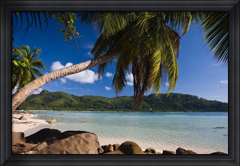 Framed Seychelles, Mahe Island, Anse a la Mouche Print