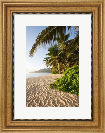 Framed Seychelles, Mahe Island, Anse Marie-Louise, dawn Print